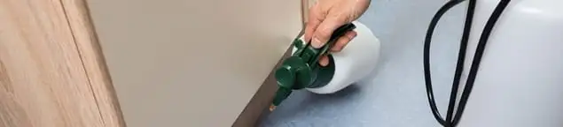 Bed bug exterminator treating baseboards and cracks with targeted spray in Bloomington, IN