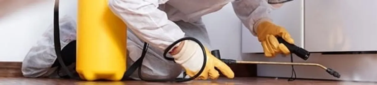 Roach exterminator treating cracks and crevices along kitchen baseboards in Bloomington, IN