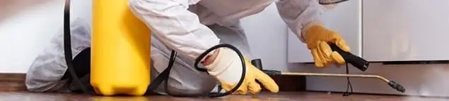 Roach exterminator treating cracks and crevices along kitchen baseboards in Bloomington, IN