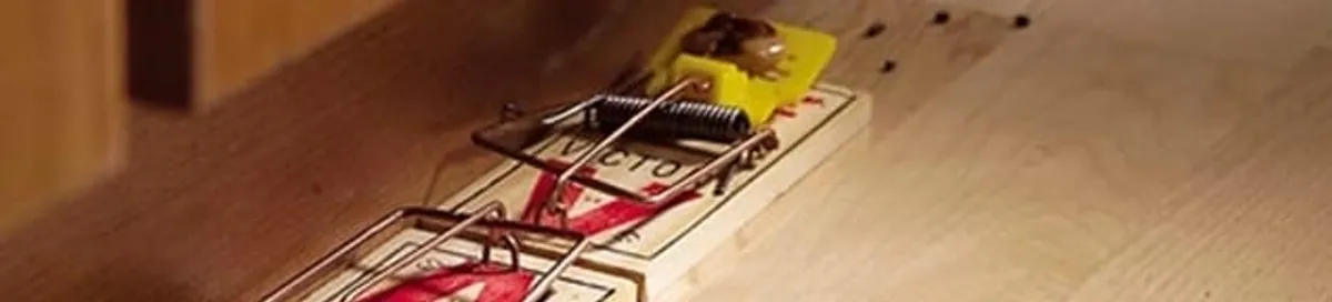 Rodent trap set indoors for rodent control and prevention in Bloomington, IN